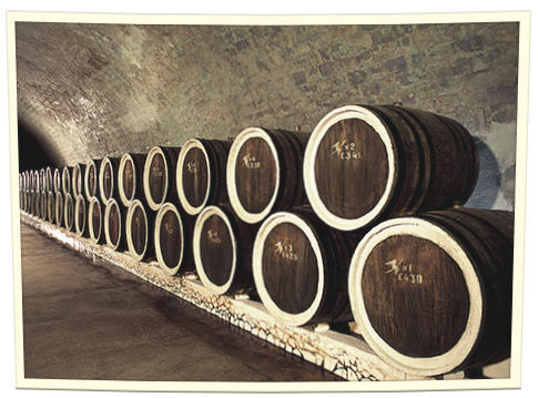 Generatii Winery family portrait